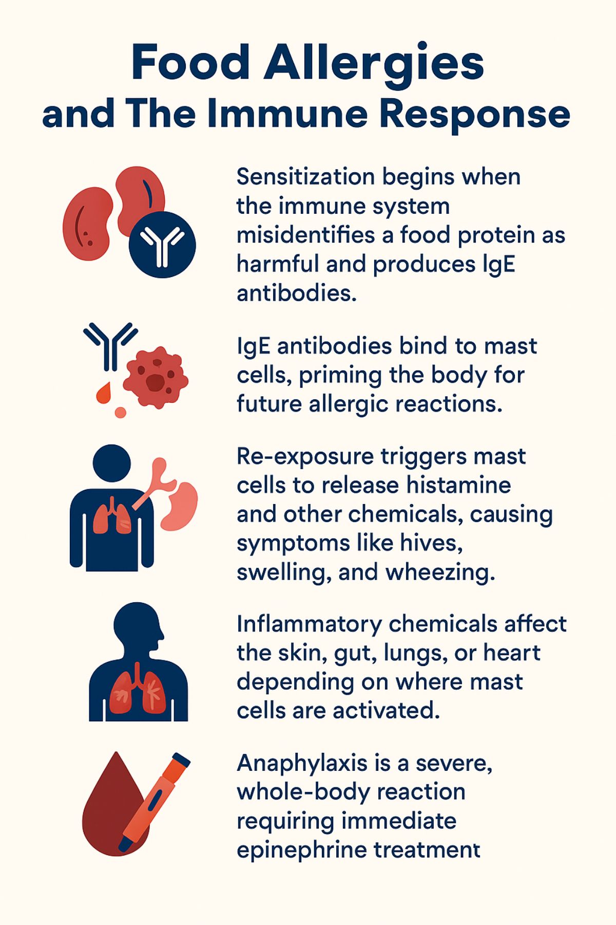 Food allergies and the immune response 2.